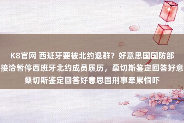K8官网 西班牙要被北约退群？好意思国国防部里面邮件表示，正接洽暂停西班牙北约成员履历，桑切斯鉴定回答好意思国刑事牵累恫吓