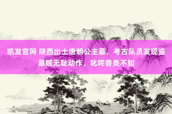 凯发官网 陕西出土唐朝公主墓，考古队员发现盗墓贼无耻动作，叱咤兽类不如
