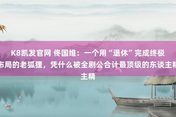 K8凯发官网 佟国维：一个用“退休”完成终极布局的老狐狸，凭什么被全剧公合计最顶级的东谈主精