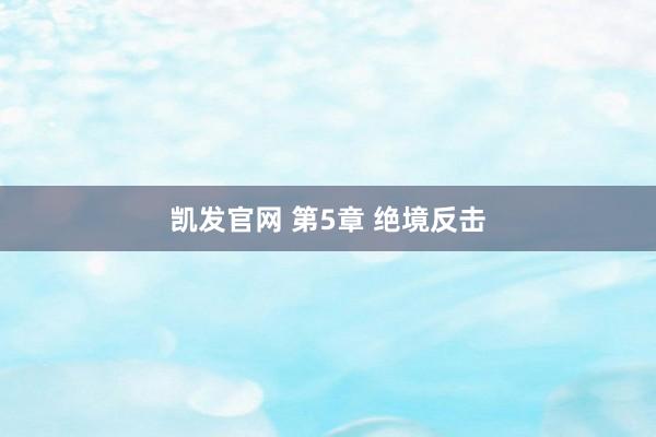 凯发官网 第5章 绝境反击