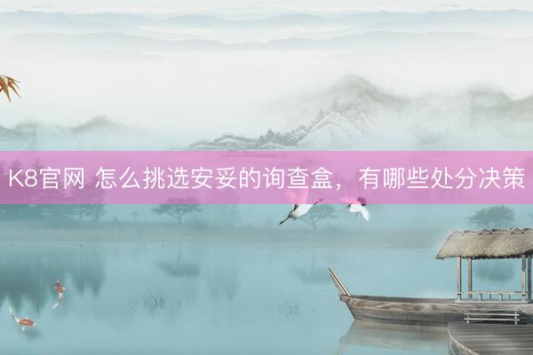 K8官网 怎么挑选安妥的询查盒，有哪些处分决策